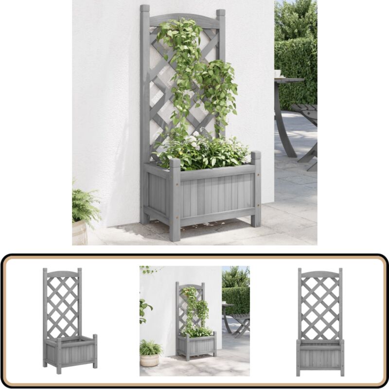 Vidaxl - Jardinière avec treillis gris bois massif de sapin - Jardinier - Pot De Fleurs - Plante Grimpante - Bois Massif - Sapin