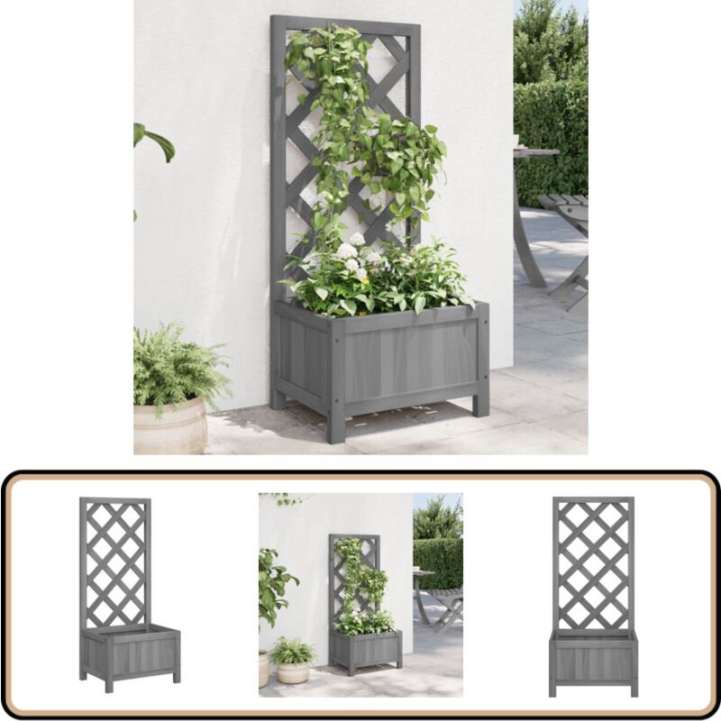Vidaxl - Jardinière avec treillis gris bois massif de sapin - Jardinier - Pot Plante Grimpante - Jardinière Bois - Bac Plantation - Décoration