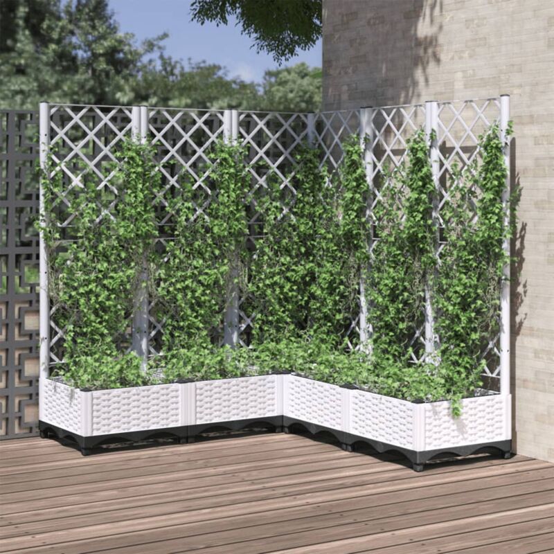 Vidaxl – Jardinière avec treillis blanc 120x120x121,5 cm – Polypropylène résistant aux chocs – Support pour plantes grimpantes – Idéal pour patios et