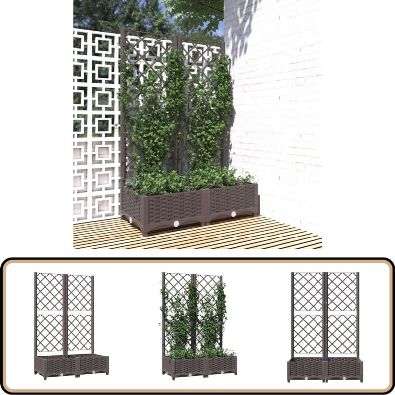 Vidaxl - Jardinière avec treillis Marron 80x40x121,5 cm pp - Jardinierre - Pot De Fleurs - Plante Grimpante - Tomate Cerise - Rose Trémière
