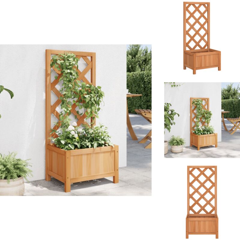 Jardinière avec treillis marron bois massif de sapin - Jardinierre En Bois - Jardinière Avec Treillis - Pot De Fleurs Exterieur - Plante Grimpante