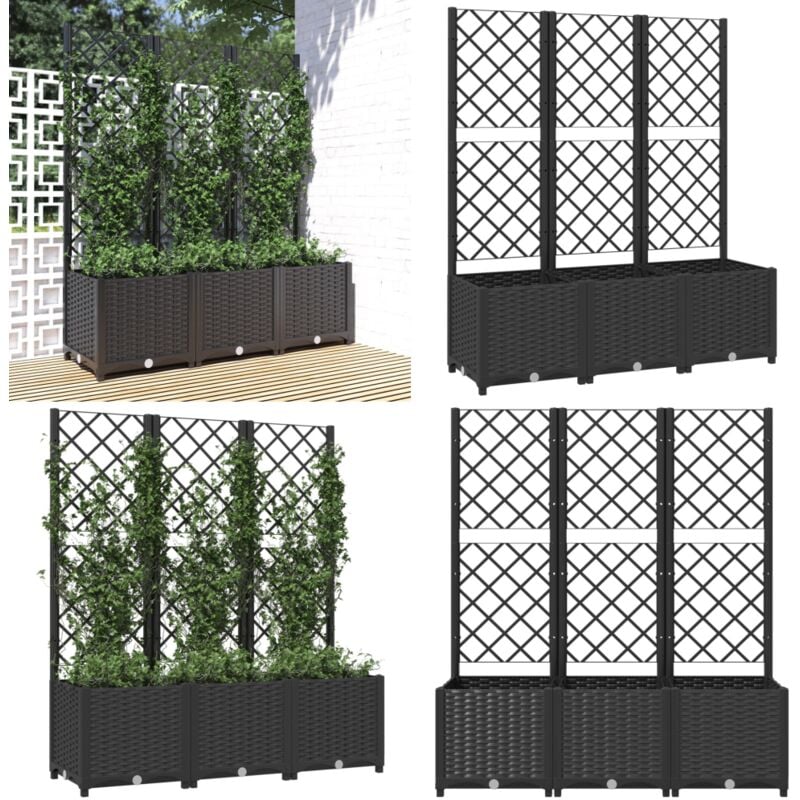 Jardinière avec treillis Noir 120x40x136 cm pp - Jardinierre - Pot De Fleurs - Plante Grimpante - Support Végétal - Décoration Extérieur - Home &
