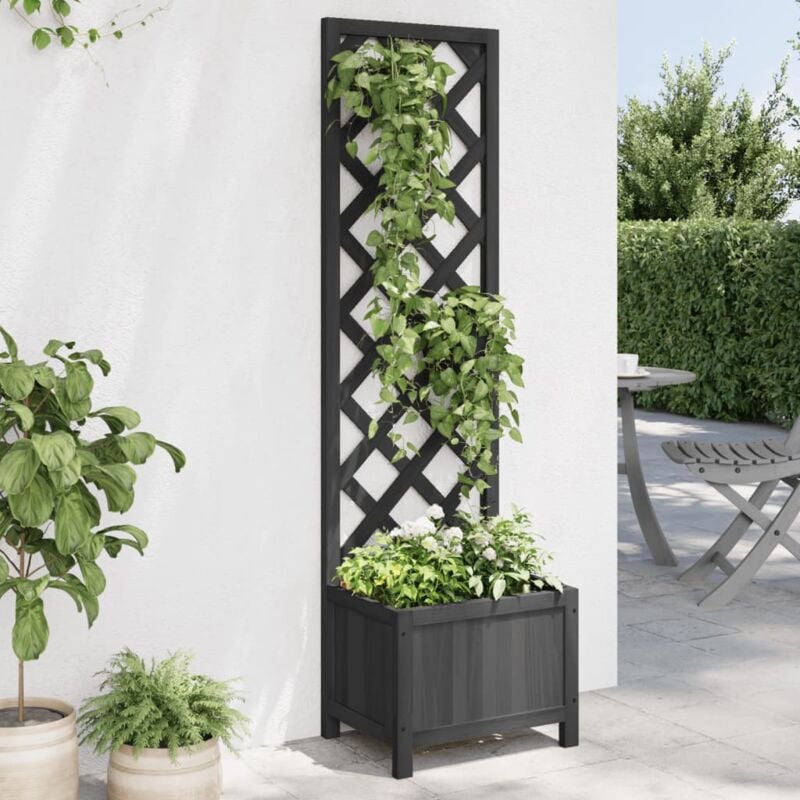 Jardinière, Bac à fleurs, Pot de fleurs avec treillis noir bois massif de sapin CON3703 design in