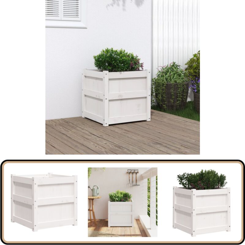 Jardinière blanc 50x50x50 cm bois de pin massif - Jardinier - Pot De Fleurs - Plante - Extérieur - Balcon