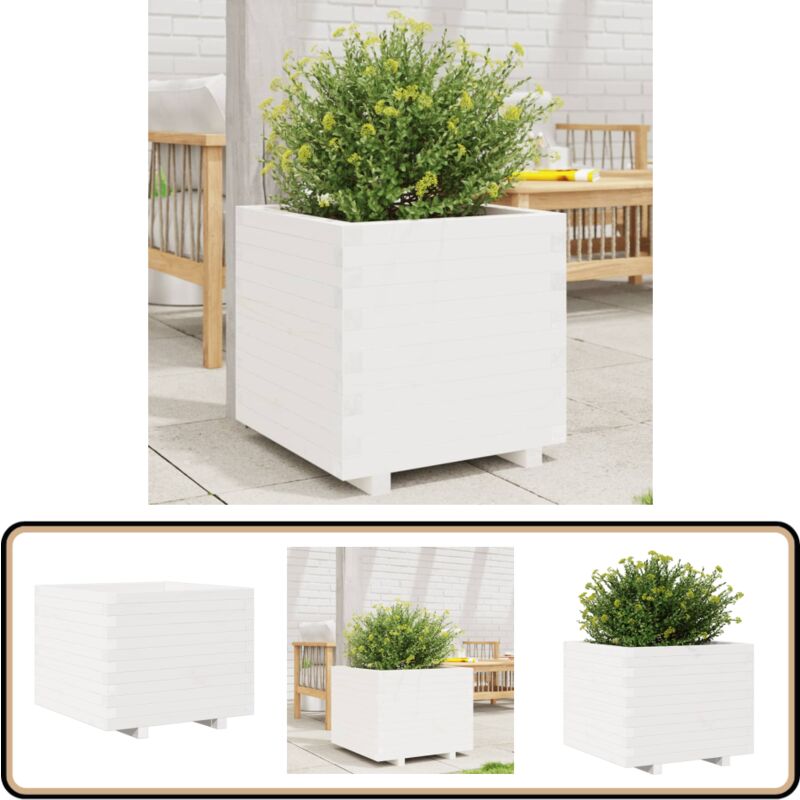 Vidaxl - Jardinière blanc 60x60x49,5 cm bois de pin massif - Jardinier - Pot De Fleurs - Plante - Extérieur - Terrasse