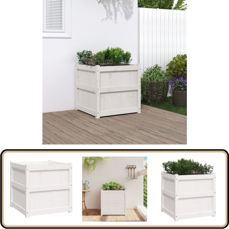Vidaxl - Jardinière blanc 60x60x60 cm bois de pin massif - Jardinier - Pot De Fleurs - Plante - Extérieur - Balcon