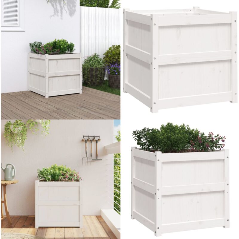 Vidaxl - Jardinière blanc 60x60x60 cm bois de pin massif - Jardinier - Pot De Fleurs - Plante - Extérieur - Balcon - Home & Living