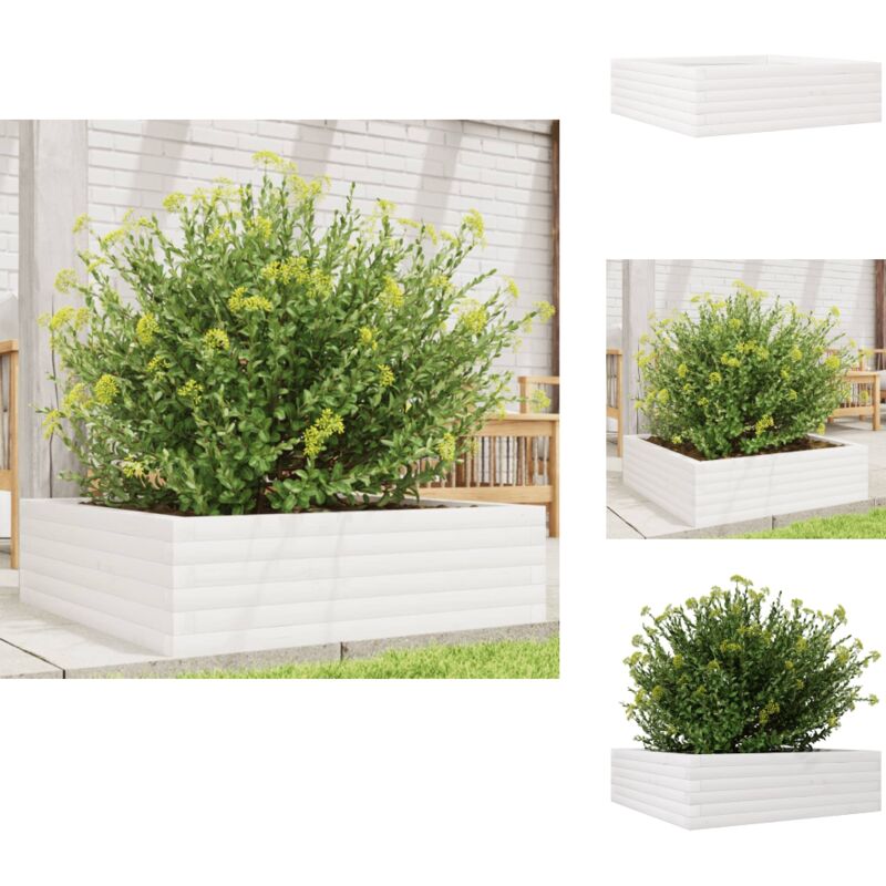 Jardinière blanc 80x80x23 cm bois de pin massif - Jardinier - Pot De Fleurs - Bac À Plantation - Bois - Pin