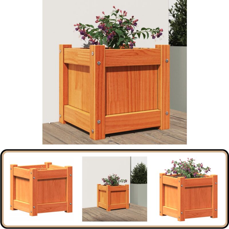 Vidaxl - Jardinière cire marron 31x31x31 cm bois de pin massif - Jardinier - Pot De Fleurs - Extérieur - Balcon - Patio