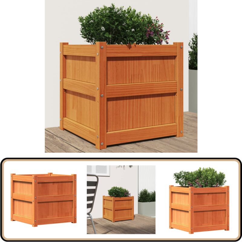 Vidaxl - Jardinière cire marron 50x50x50 cm bois de pin massif - Jardinier - Pot De Fleurs - Extérieur - Balcon - Patio