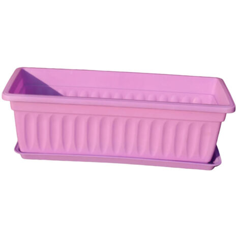 Jardinière de fenêtre, jardinière de pépinière, violette