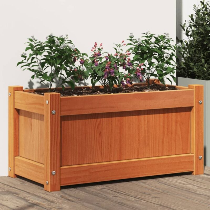 Vidaxl - Jardinière cire marron 60x31x31 cm bois de pin massif