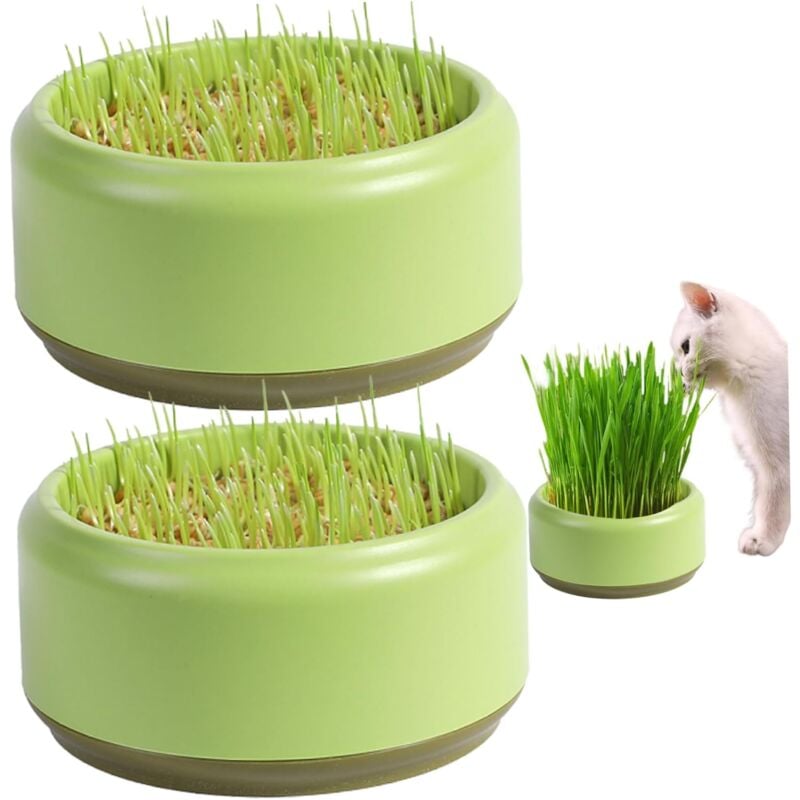 Jardinière d'herbe à chat 3 pièces tasses rondes pratiques d'herbe à chat 13,5 cm Kit de culture d'herbe à chat pratique plateau de germination de