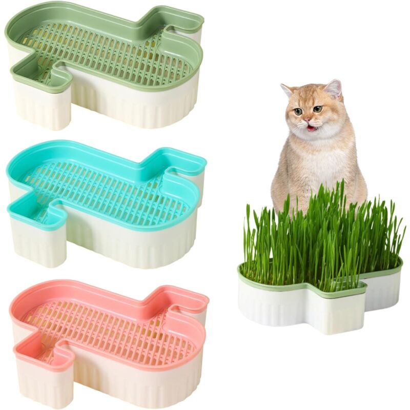 Jardinière d'herbe à chat, kit d'herbe à chat de capacité, plateaux de germination de graines d'herbe à chat, 3 pièces, kit de culture d'herbe à chat