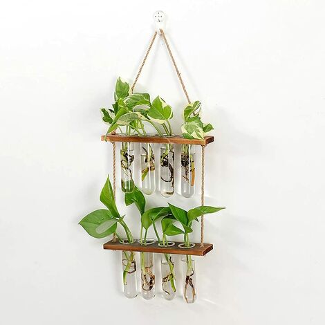 Jardinière murale à 2 niveaux - Récipient en verre avec étagère en bois - Vase en verre pour la propagation hydroponique des plantes - Décoration de jardin pour bureau à domicile