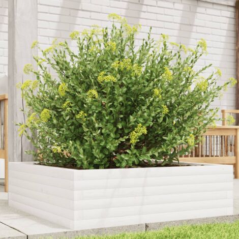 Jardinière-Pot de fleur blanc 80x80x23 cm bois de pin massif