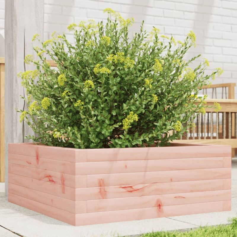 Jardinière Pot de Fleurs 60x60x23 cm bois massif douglas CFW40690