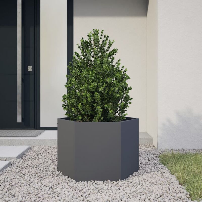Jardinière Pot de Fleurs anthracite hexagone 69x60x45 cm acier CFW54384