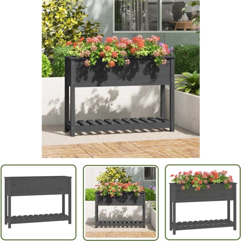 The Living Store Jardinière avec étagère Gris 111,5x34,5x81cm Bois massif de pin - Jardinier - Jardinerie - Plante - Pots De Fleurs - Décoration