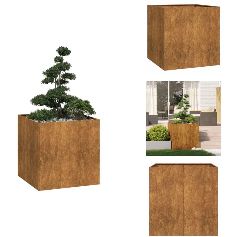 Vidaxl - Jardinière rouillé 80x80x80 cm acier inoxydable - Jardinière - Jardinières - Pot De Fleurs - Support De Jardinière