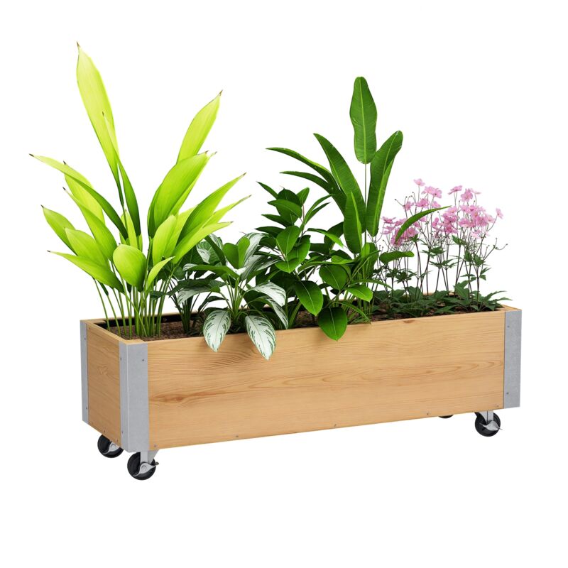 Jardinière sur roulettes - jardinière rectangulaire - inserts d'irrigation, feutre de drainage inclus - métal bois de sapin naturel