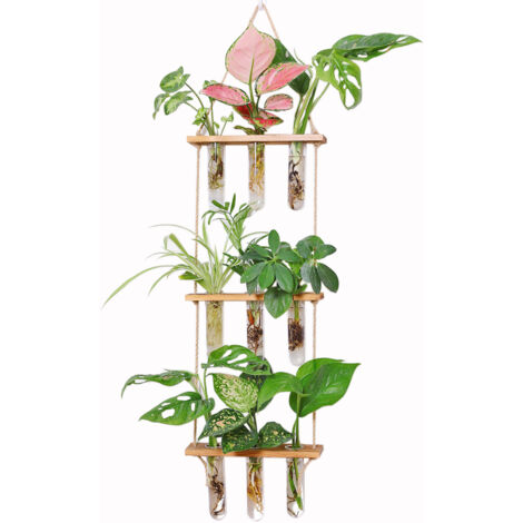 Jardinière suspendue en bouteille écologique, avec cadre en bois, vase à trois niveaux en forme de tube à essai, pot de fleurs suspendu vintage en verre, jardinière hydroponique