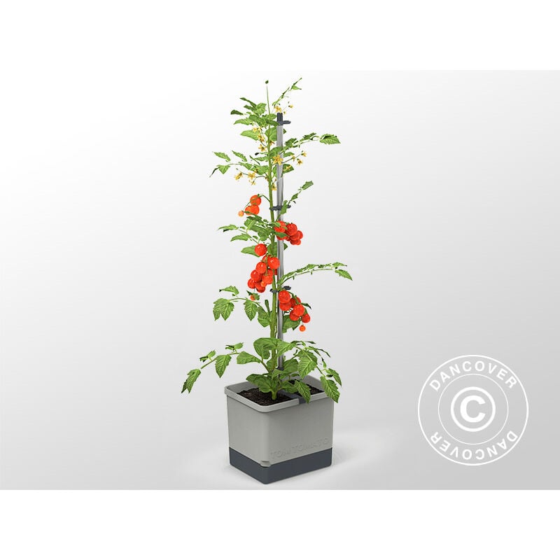 Dancover - Jardinière, tom tomato, avec piquet et réservoir d'eau, Gris