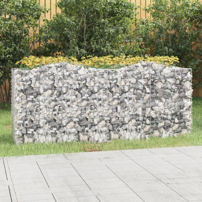 Jardinière，Lit surélevé à gabions arqué 200x50x100 cm Fer galvanisé CFW30063