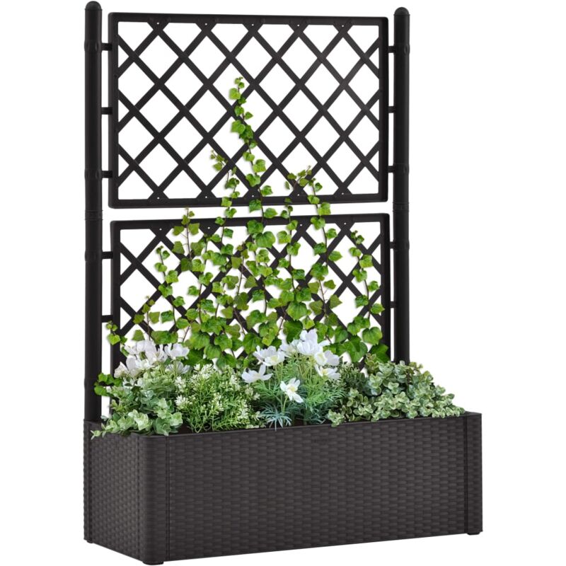 Jardinière,Lit surélevé de jardin treillis système d'arrosage Anthracite CFW33627