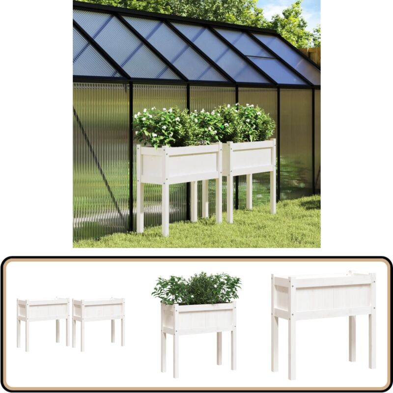 Jardinières 2 pcs avec pieds blanc bois de pin massif - Jardiniere Bois - Jardinerie - Pots De Fleurs Exterieur - Decoration Jardin - Planter Bois