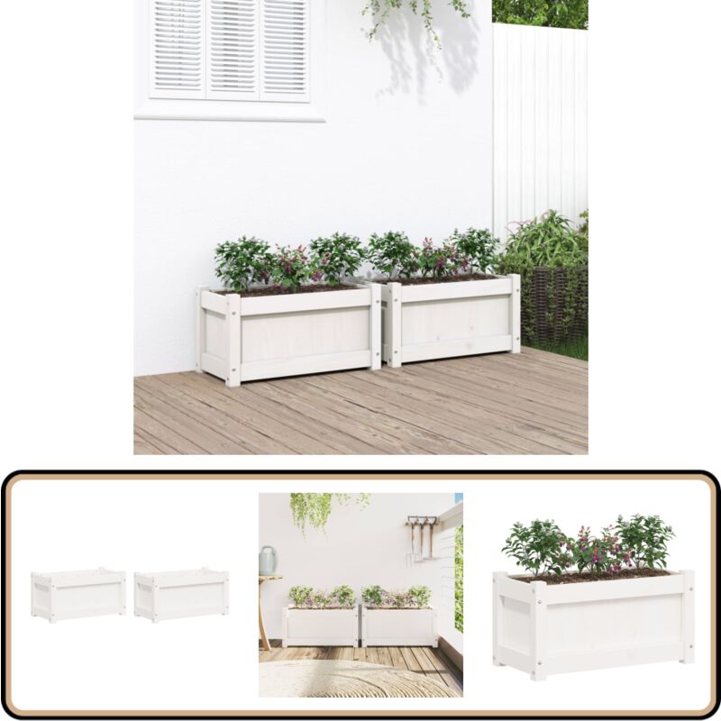 Vidaxl - Jardinières 2 pcs blanc bois de pin massif - Jardiniere En Bois - Jardinerie - Decoration Exterieur - Pots De Fleurs - Balcon