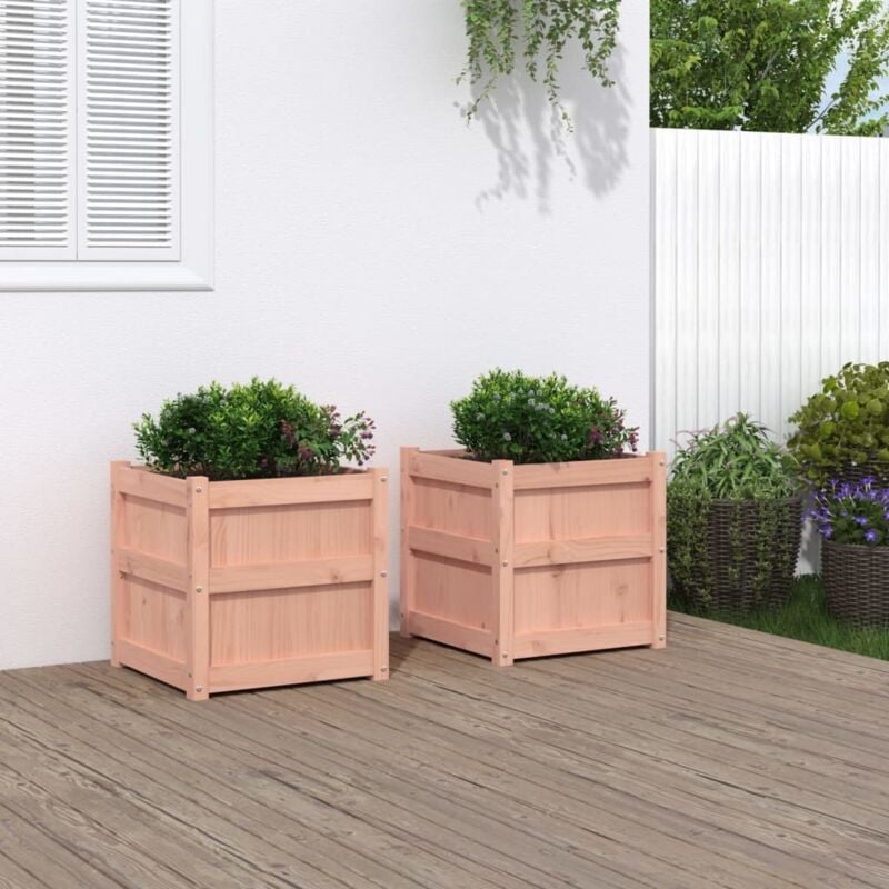 Vidaxl - Jardinières 2 pcs bois massif douglas