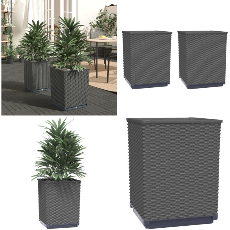 Jardinières 2 pcs noir 30x30x37 cm polypropylène - Jardiniere - Pots De Fleurs - Decoration Exterieur - Balcon - Patio - Home & Living