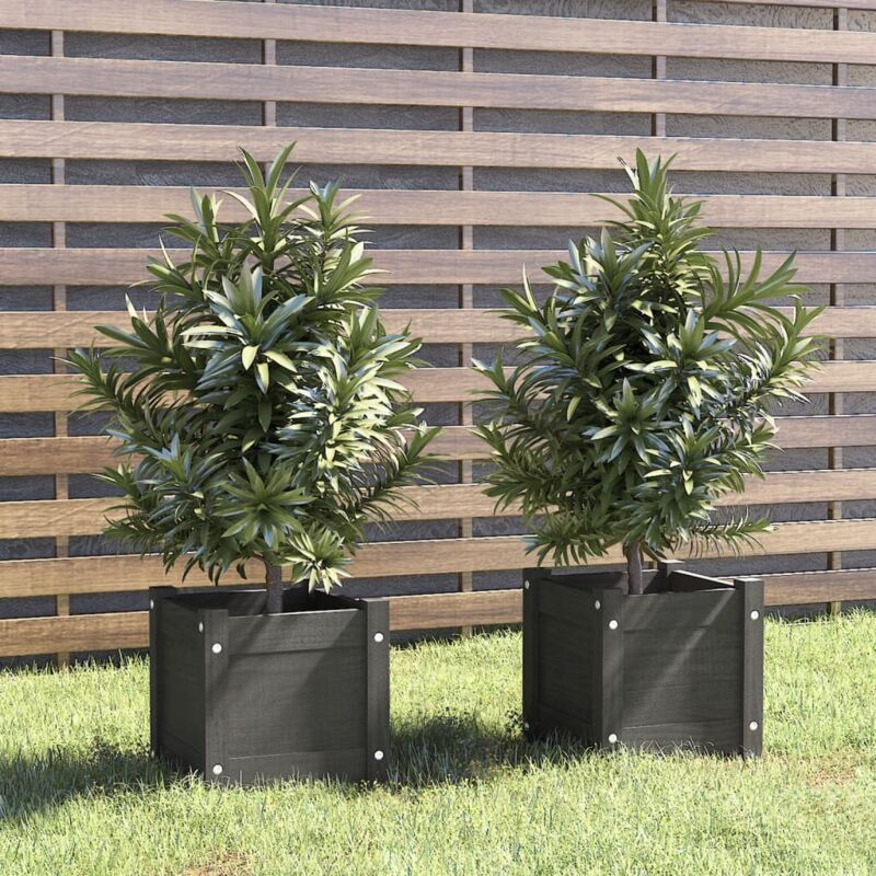 Vidaxl - Jardinières d'extérieur 2 pcs Gris 31x31x31 cm Bois de pin