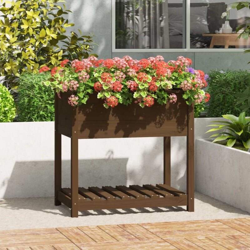 Jardinière de jardin avec étagère - Balconnière à fleurs Marron miel 82,5x54x81 cm Bois de pin BV540561 - Brun