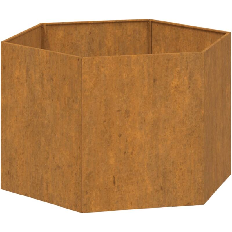 Vidaxl - Jardinière Rouillé 60x60x45 cm Acier corten