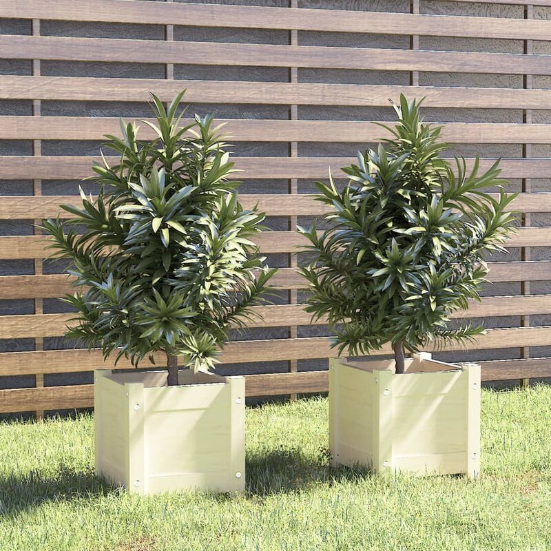 Les Tendances - Jardinières 2 pcs Blanc 31x31x31 cm Bois de pin massif