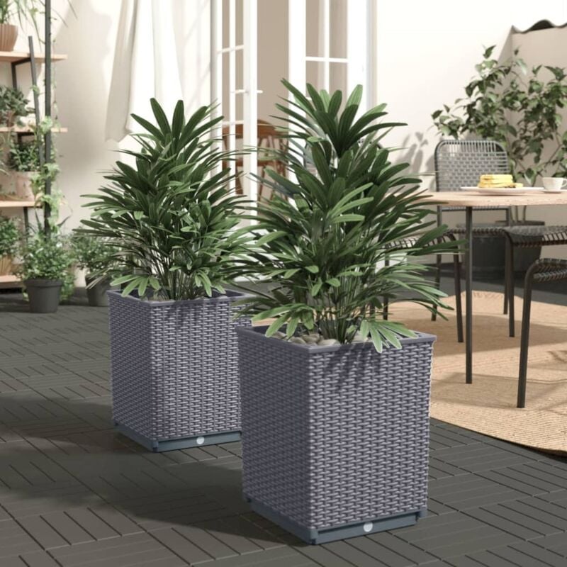 Vidaxl - Jardinières 2 pcs gris foncé 30x30x37 cm polypropylène