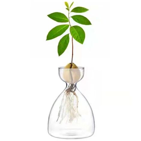 Jarrón [Avo], elegante modelo de cristal de borosilicato blanco alto, 14 cm