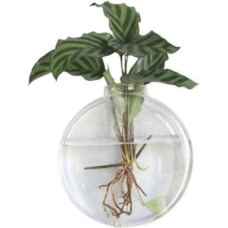 Jarrón colgante de pared – hidropónico, fabricado en vidrio de borosilicato resistente – hexagonal, 17 x 17 cm