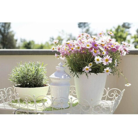 Jarrón de paja color crema D29 cm H 27 cm Bama 34031 plantas flores