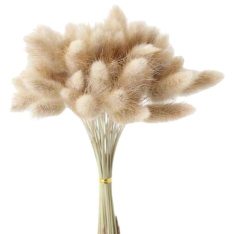 Jarrón decorativo de hierba de la Pampa de 90 piezas para arreglos florales del hogar, con flores secas y esponjosas de hierba de la Pampa de 55 cm.