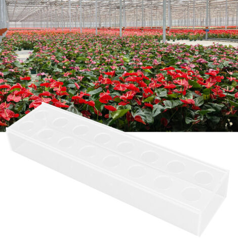 Jarrón decorativo rectangular de acrílico transparente: elegante elemento decorativo con 16 orificios para arreglos florales. Robusto y brillante, ideal para eventos y como decoración del hogar.