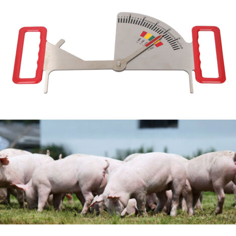 [Jauge de Alimentation] + [pour Truies Gestantes] + [Compatible Mano] + [Stainless Steel Backfat Caliper]