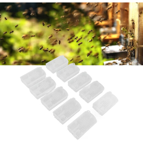 Jaula para abejas – Jaula para reina, 10 unidades – Jaula multifuncional de plástico grande con base extensible