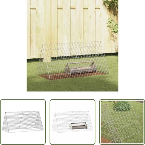 Jaula para pollos plateada -  Jaula para pollos Plateado 110 x 55 x 55 cm Acero Galvanizado