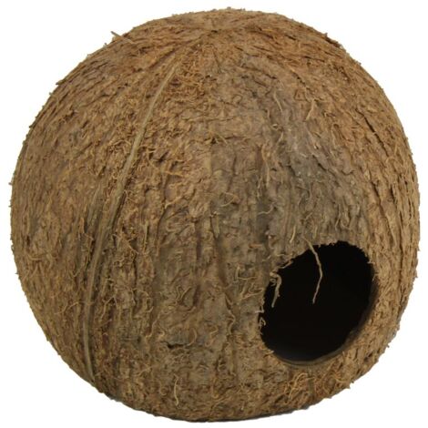 JBL Cocos Cava Größe L 3/4 Kokosnuss-Schale als Höhle für Aquarien und Terrarien