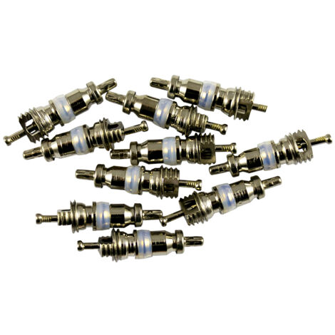 JBM 14596 KIT DE 10 SOUPAPES POUR RÉF. 53599 - 5x19 mm R12