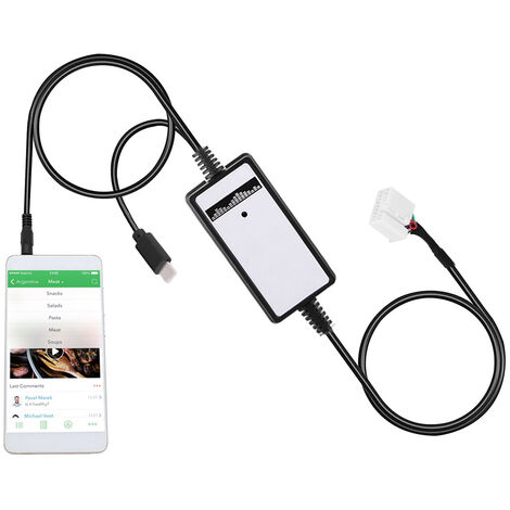 Jeffergarden Adaptateur d'interface d'intégration d'entrée Audio AUX pour voiture, pour Accord 07-11 Iphone 5 6 6s