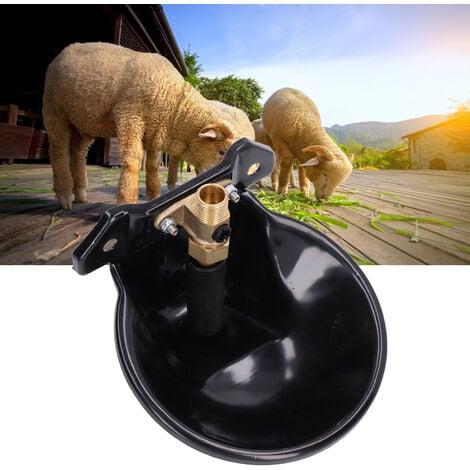 Jeffergarden Bol d'eau pour moutons, en acier inoxydable, Valve en cuivre, interrupteur tactile, abreuvoir automatique épais pour chèvres, pour ferme